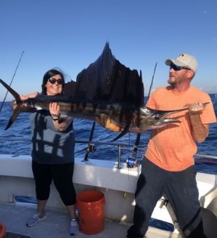 Sailfish fishing in North Myrtle Beach